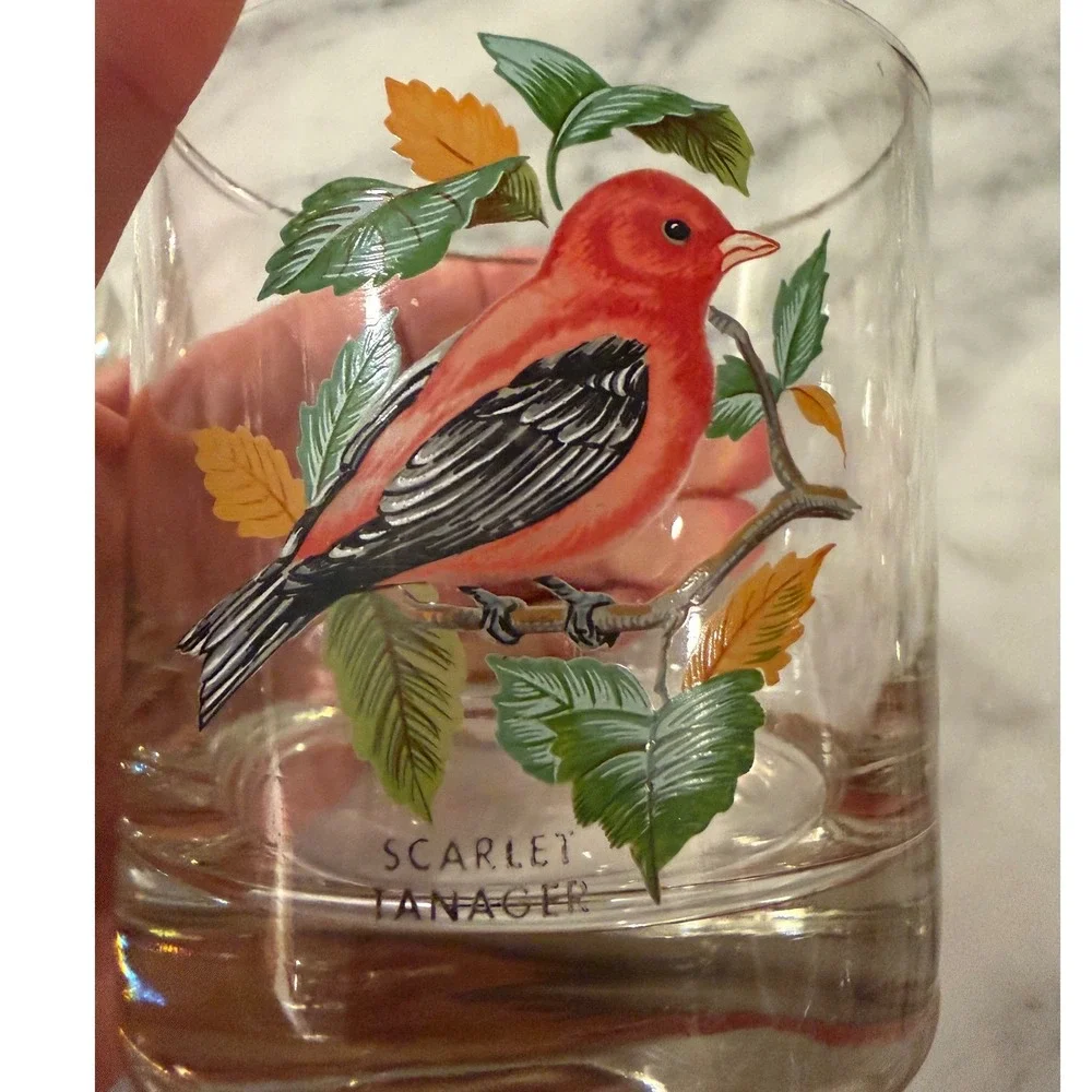 Vtg 70s MCM West Virginia Glass American Songbirds 2 Glasses Oriole Tanager